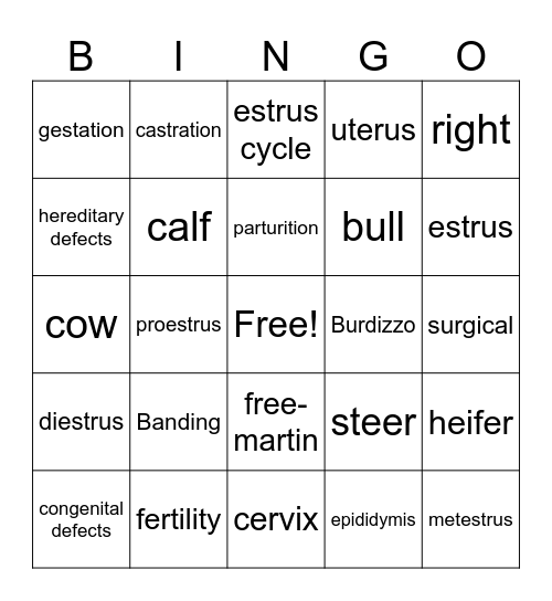 Beef Reproduction Test Bingo Card