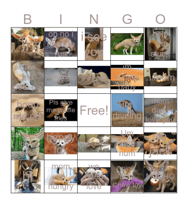 FENNC FOX BINGGGGGGGO! Bingo Card