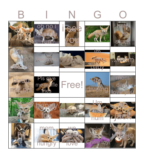 FENNC FOX BINGGGGGGGO! Bingo Card