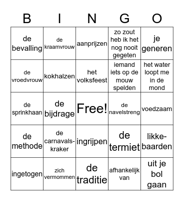 woordenschat thema 3 Bingo Card