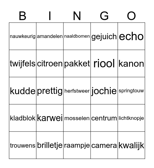 groep 6 bingo Card