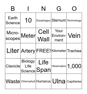 ES Final Review Bingo Card