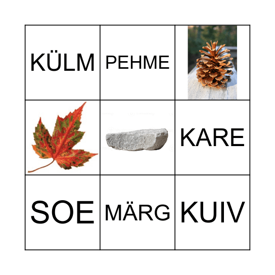 TUNNE LOODUST KÄEGA Bingo Card