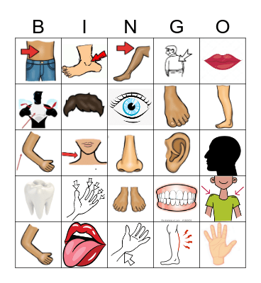 BODY PARTS Bingo Card
