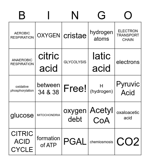 CELLULAR RESPIRATION Bingo Card