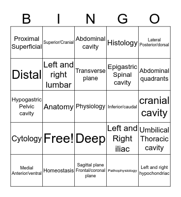 Orientation to the Body Bingo Card