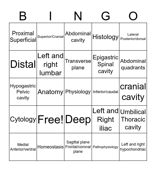 Orientation to the Body Bingo Card