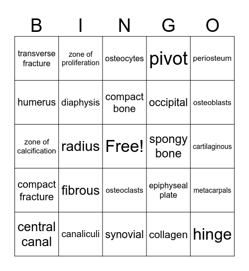 Skeletal System Bingo Card