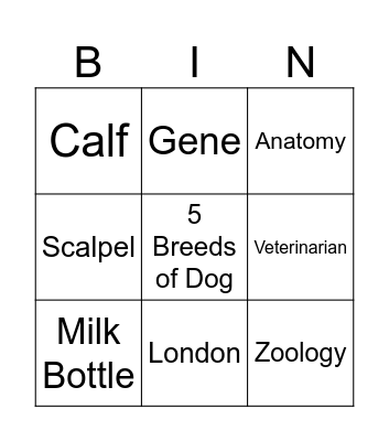 Vet Infinite Craft - EASY Bingo Card