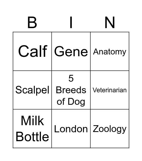 Vet Infinite Craft - EASY Bingo Card