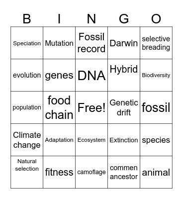 evolution bingo Card