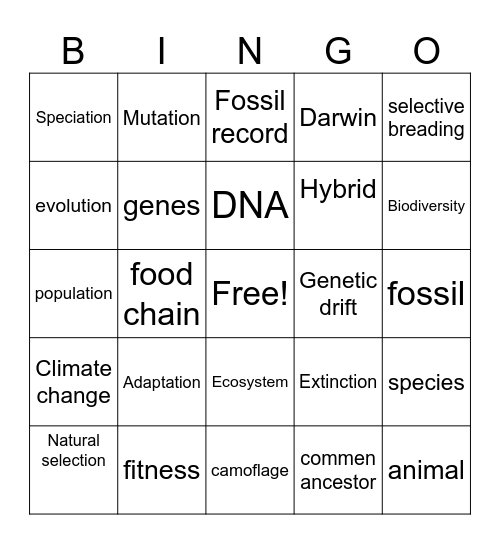 evolution bingo Card