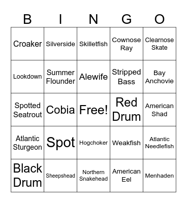 Fish-O Bingo Card