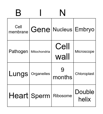 Revision Bingo! Bingo Card