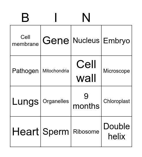 Revision Bingo! Bingo Card