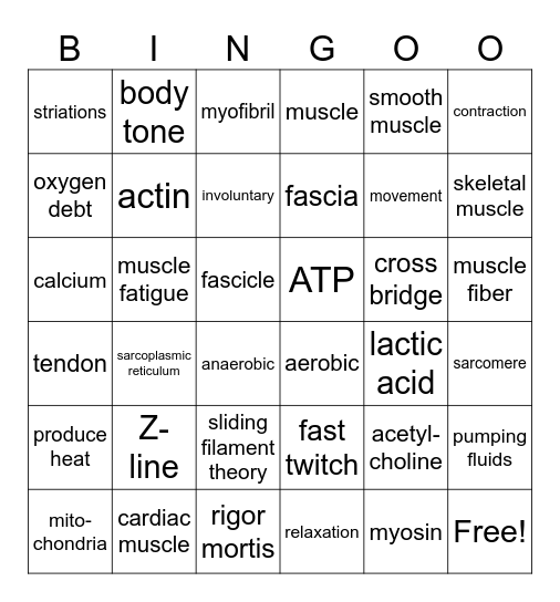Muscles Bingo Card