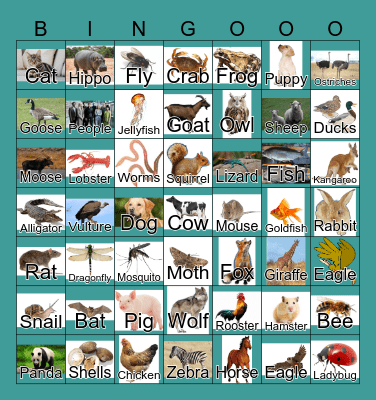 Animals Bingo Card