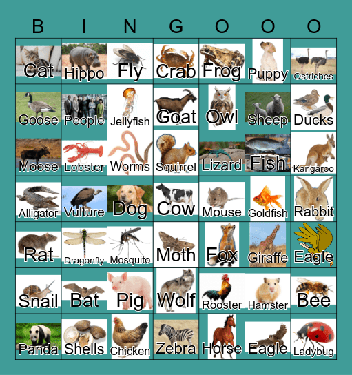 Animals Bingo Card