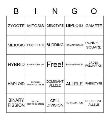 GENETICS Bingo Card