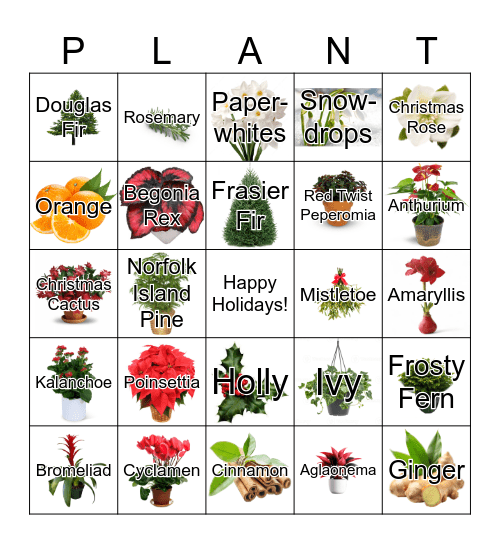 Holiday Plant Bingo Card