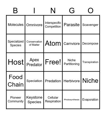 Mid-Year Bingo V2 Bingo Card