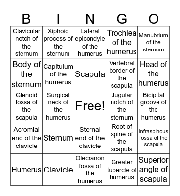 Module A bones Bingo Card