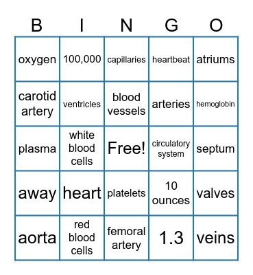 Circulatory System Bingo Card