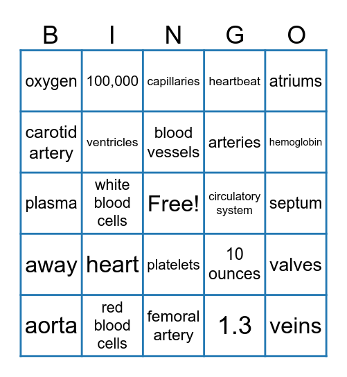 Circulatory System Bingo Card