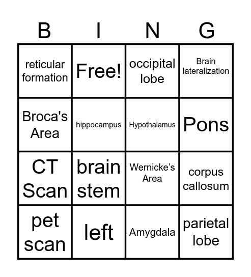 The Brain! Bingo Card