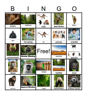 TeachTown Monkey 5×5 Bingo Card