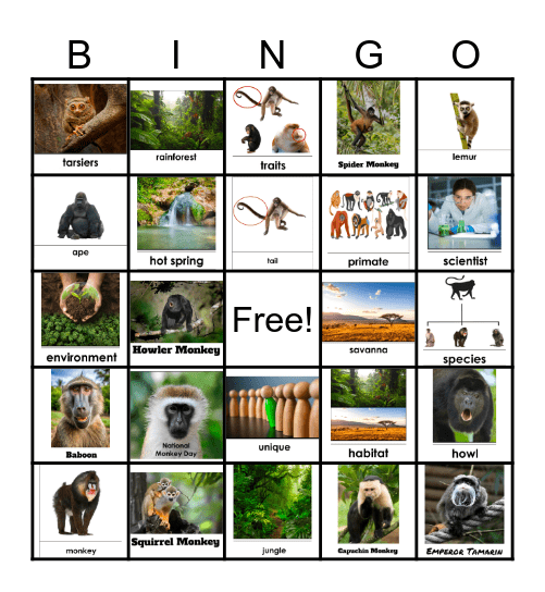 TeachTown Monkey 5×5 Bingo Card