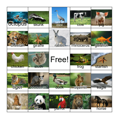 Animal Bingo! Bingo Card