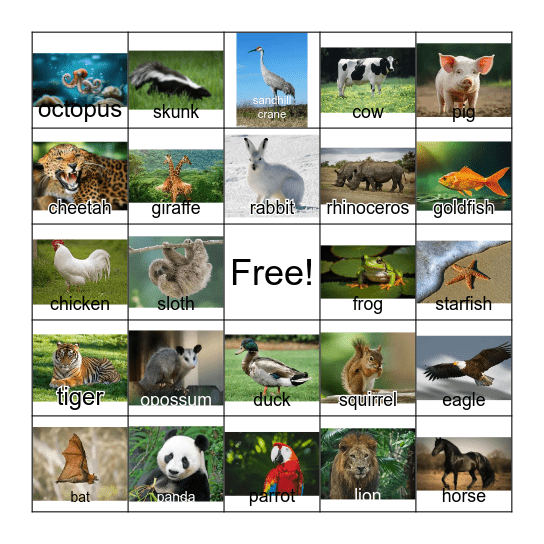 Animal Bingo! Bingo Card