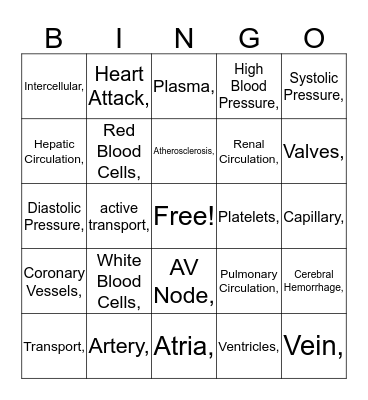 Transport/Circulation Bingo Card