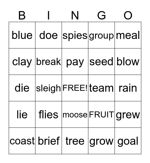 Double Vowel Rule (VV) Bingo Card