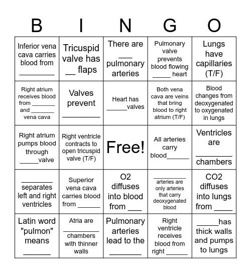 Circulatory System Bingo Card