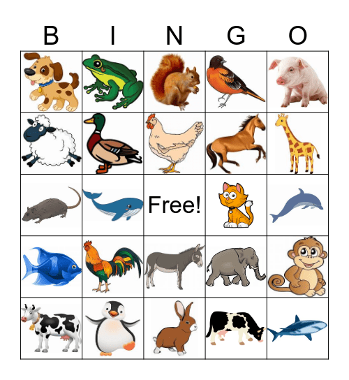 Los animales Bingo Card