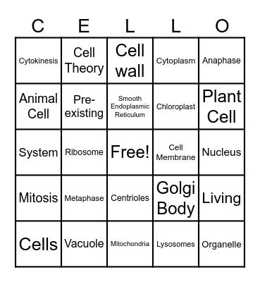 CELLO!!!! Bingo Card