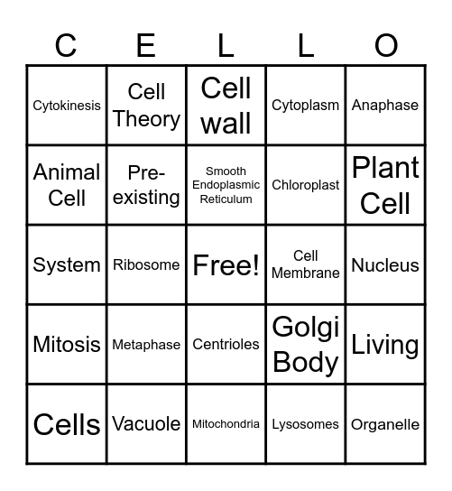 CELLO!!!! Bingo Card