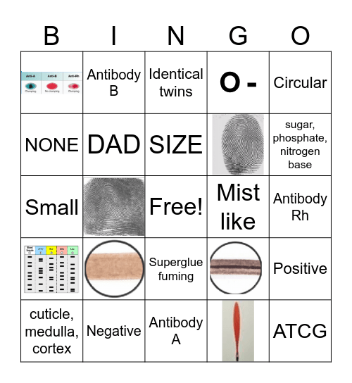 Forensic Exam review bingo Card