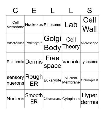 CELLS REVIEW Bingo Card