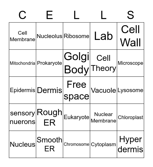 CELLS REVIEW Bingo Card