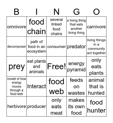 3rd Grade B-2 Words Bingo Card