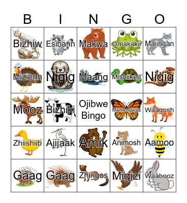 Ojibwe Bingo Card