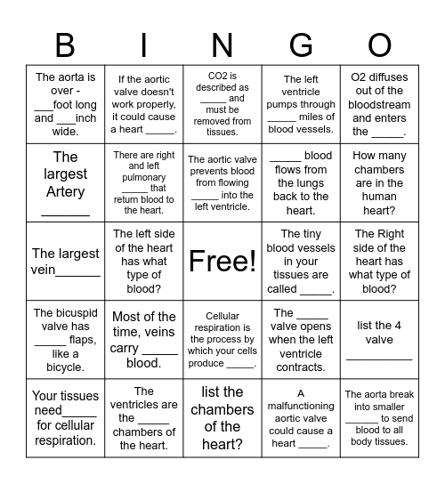 Circulatory system Bingo Card