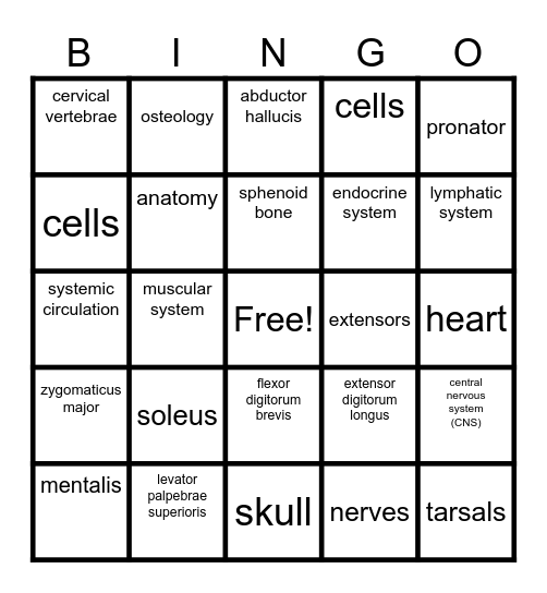 anatomy Bingo Card
