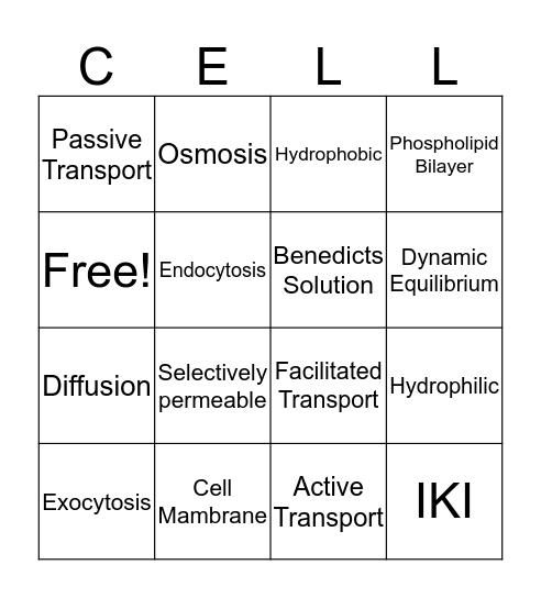 Cellular Transport Bingo Card