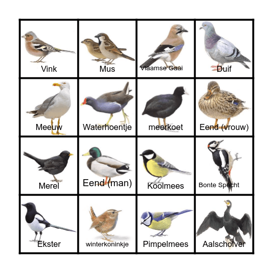 Vogels spotten in de Winter Bingo Card