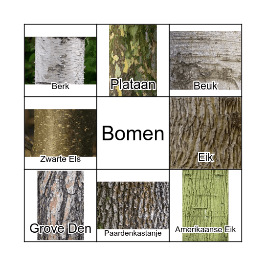 boomschors Bingo Card