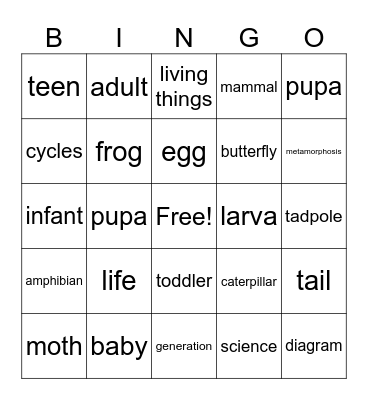 Life Cycles Bingo Card